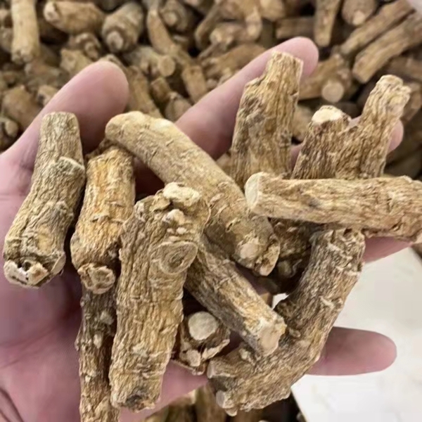 ginseng2.jpg